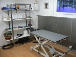 2012-12-20 11.45.51.jpg